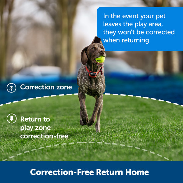 PetSafe® Stay + Play Wireless Fence Stubborn Dog Containment System